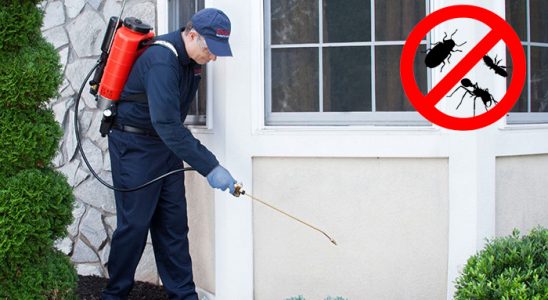 Elmalı Gümüşkurt İlaçlama böcek ilaçlama ve haşere kontrolü — ilaclama-tr.com